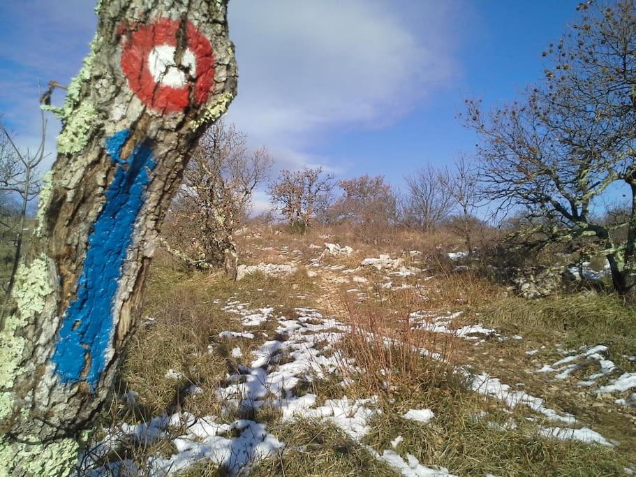 Socerga Istrian Experience 빌라 외부 사진